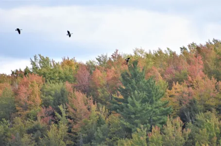 Warm fall predicted after region posts third-hottest July